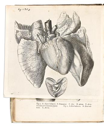 Descartes, René (1596-1650) De Homine Figuris et Latinitate Donatus a Florentio Schuyl.